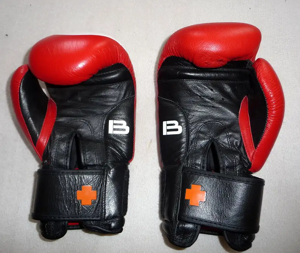 Pair of boxing gloves - image credits