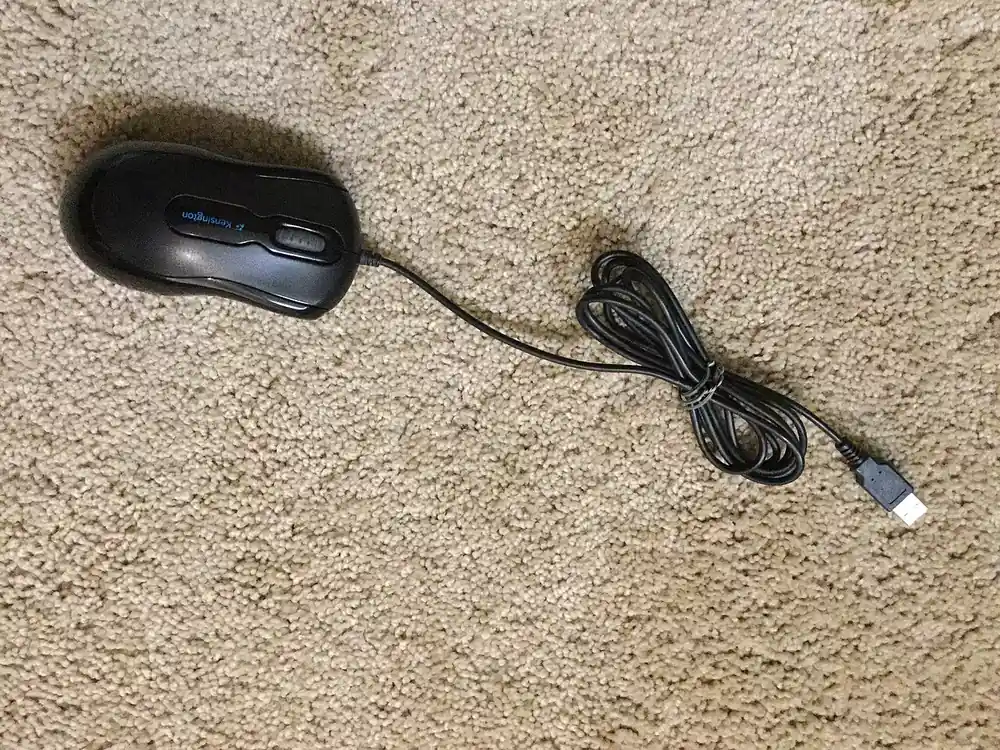 computer mouse