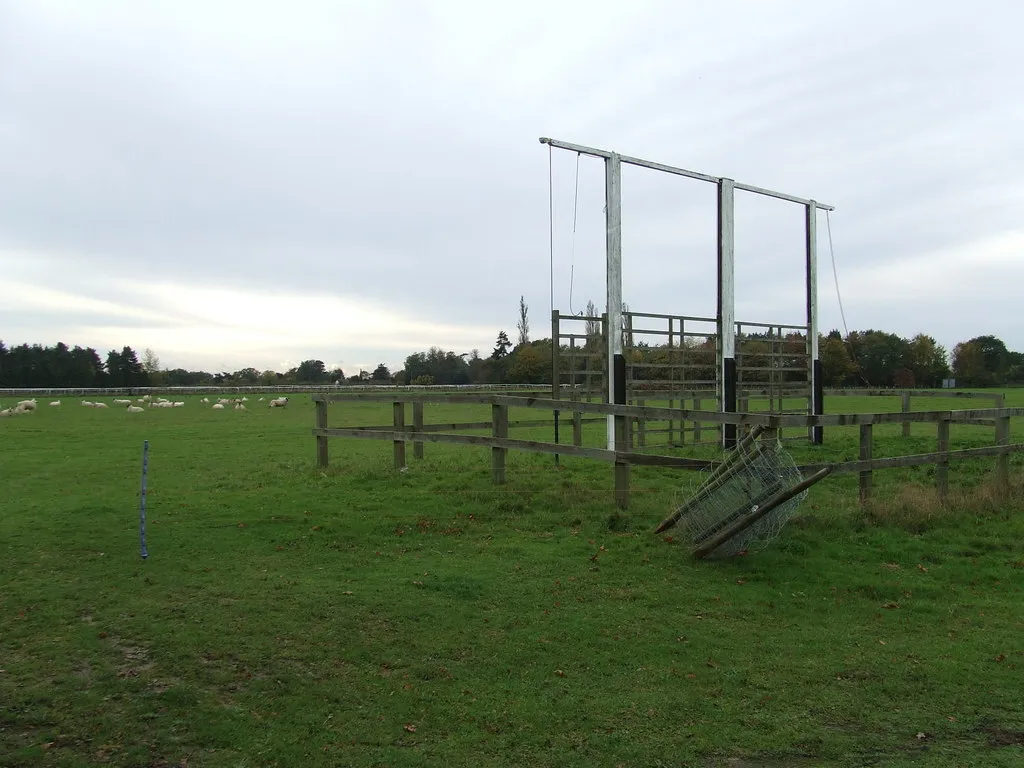 comment savoir sur quel cheval parier - racecourse tote board structure