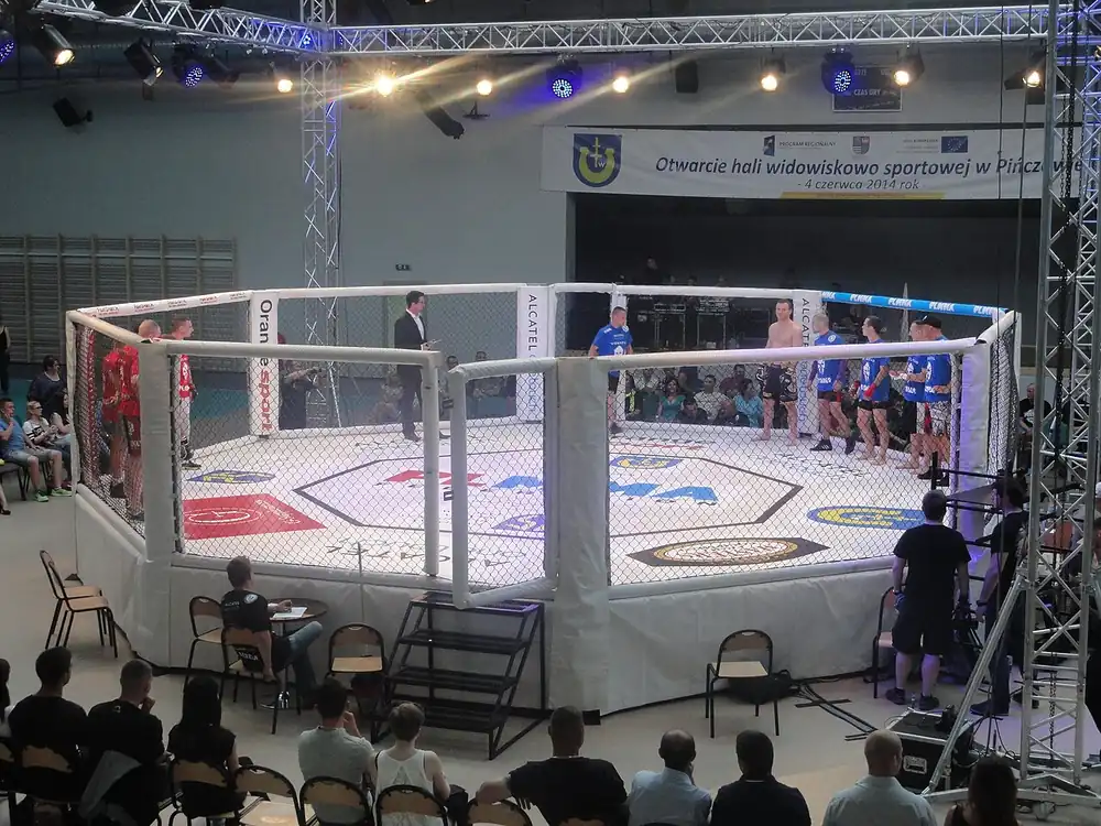 ethereum betting sites canada ufc - MMA cage