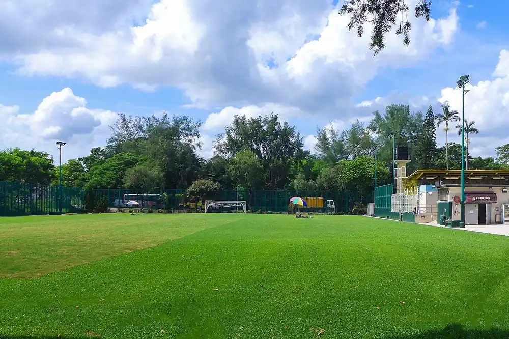 Tips & strategy - grass football pitch