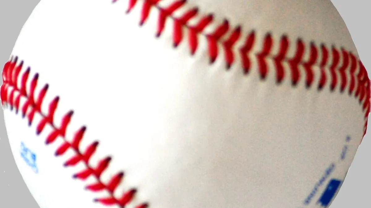 Baseball - what is a void bet in sports betting