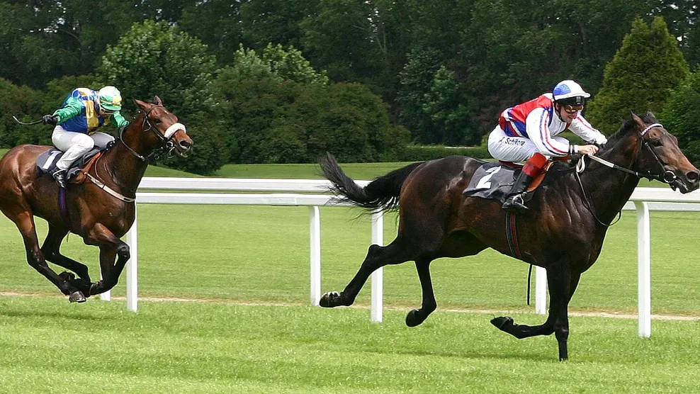 what is a dead heat rule in betting - horse racing